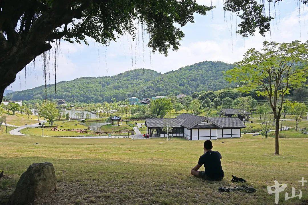 草坪处处可野餐！中山市属公园设置帐篷区接近17万平方米九游体育(图5)